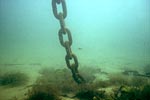 Links