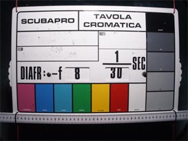 dp_f8