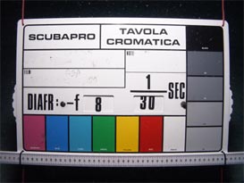dpwc_f8