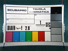 wcom_f2-8