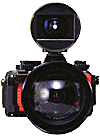 nwl12_2