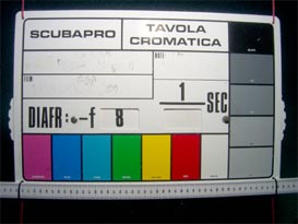 dp60raw