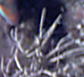 r92k2-26dtcor