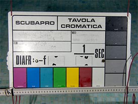 s100fp24lrcor