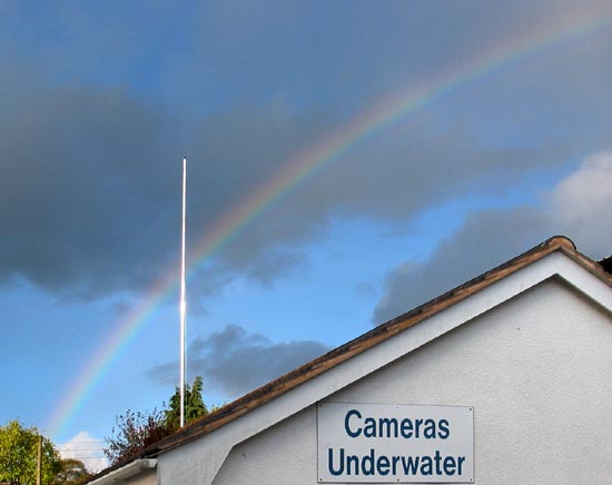 The pot of gold is behind the tree on the bottom left.