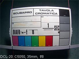 dcl20