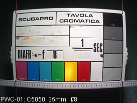 pwc1