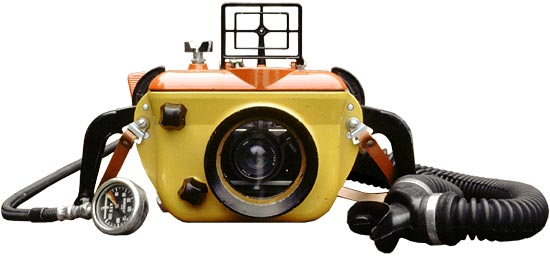 Lomo Crab with Heinke Merlin